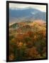 Mt LeConte above fall foliage, Smoky Mountains, Tennessee, USA-Anna Miller-Framed Photographic Print