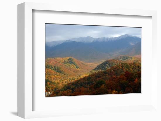 Mt LeConte above fall foliage, Smoky Mountains, Tennessee, USA-Anna Miller-Framed Photographic Print