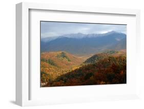 Mt LeConte above fall foliage, Smoky Mountains, Tennessee, USA-Anna Miller-Framed Photographic Print