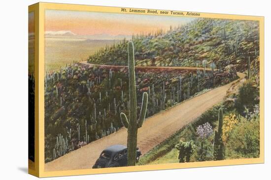 Mt. Lemmon Road, Tucson, Arizona-null-Stretched Canvas