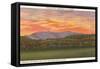 Mt. Mansfield at Sunset, Vermont-null-Framed Stretched Canvas