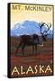 Mt. McKinley, Alaska - Caribou-Lantern Press-Framed Stretched Canvas