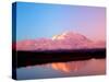 Mt. McKinley at Sunrise with Reflections, Denali National Park, Alaska, USA-Terry Eggers-Stretched Canvas