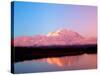 Mt. McKinley at Sunrise with Reflections, Denali National Park, Alaska, USA-Terry Eggers-Stretched Canvas