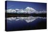 Mt, Mckinley (Denali) from Reflection Pond, Denali-null-Stretched Canvas