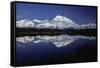 Mt, Mckinley (Denali) from Reflection Pond, Denali-null-Framed Stretched Canvas