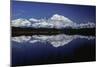 Mt, Mckinley (Denali) from Reflection Pond, Denali-null-Mounted Premium Photographic Print