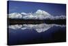 Mt, Mckinley (Denali) from Reflection Pond, Denali-null-Stretched Canvas