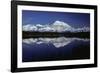 Mt, Mckinley (Denali) from Reflection Pond, Denali-null-Framed Photographic Print