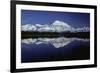 Mt, Mckinley (Denali) from Reflection Pond, Denali-null-Framed Photographic Print