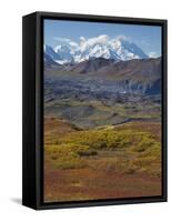 Mt. Mckinley, Denali National Park, Alaska, USA-Hugh Rose-Framed Stretched Canvas