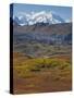 Mt. Mckinley, Denali National Park, Alaska, USA-Hugh Rose-Stretched Canvas