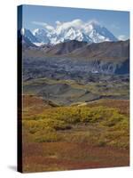 Mt. Mckinley, Denali National Park, Alaska, USA-Hugh Rose-Stretched Canvas