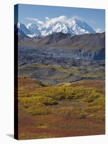 Mt. Mckinley, Denali National Park, Alaska, USA-Hugh Rose-Stretched Canvas