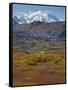 Mt. Mckinley, Denali National Park, Alaska, USA-Hugh Rose-Framed Stretched Canvas