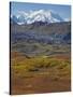 Mt. Mckinley, Denali National Park, Alaska, USA-Hugh Rose-Stretched Canvas