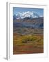 Mt. Mckinley, Denali National Park, Alaska, USA-Hugh Rose-Framed Premium Photographic Print