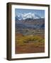 Mt. Mckinley, Denali National Park, Alaska, USA-Hugh Rose-Framed Photographic Print