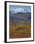 Mt. Mckinley, Denali National Park, Alaska, USA-Hugh Rose-Framed Photographic Print