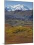 Mt. Mckinley, Denali National Park, Alaska, USA-Hugh Rose-Mounted Photographic Print