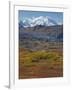 Mt. Mckinley, Denali National Park, Alaska, USA-Hugh Rose-Framed Photographic Print