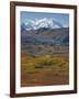 Mt. Mckinley, Denali National Park, Alaska, USA-Hugh Rose-Framed Photographic Print