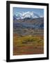 Mt. Mckinley, Denali National Park, Alaska, USA-Hugh Rose-Framed Photographic Print