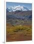 Mt. Mckinley, Denali National Park, Alaska, USA-Hugh Rose-Framed Photographic Print