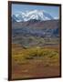 Mt. Mckinley, Denali National Park, Alaska, USA-Hugh Rose-Framed Photographic Print