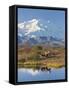 Mt. Mckinley, Denali National Park, Alaska, USA-Hugh Rose-Framed Stretched Canvas