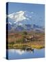 Mt. Mckinley, Denali National Park, Alaska, USA-Hugh Rose-Stretched Canvas