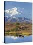 Mt. Mckinley, Denali National Park, Alaska, USA-Hugh Rose-Stretched Canvas