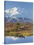 Mt. Mckinley, Denali National Park, Alaska, USA-Hugh Rose-Stretched Canvas