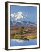 Mt. Mckinley, Denali National Park, Alaska, USA-Hugh Rose-Framed Premium Photographic Print