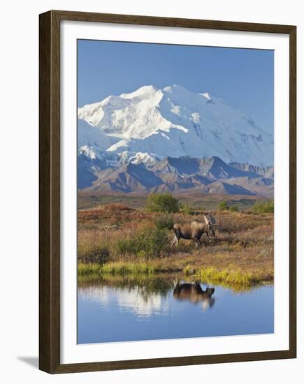 Mt. Mckinley, Denali National Park, Alaska, USA-Hugh Rose-Framed Premium Photographic Print