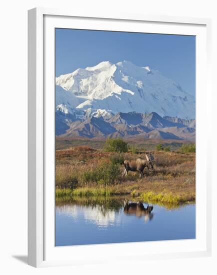 Mt. Mckinley, Denali National Park, Alaska, USA-Hugh Rose-Framed Premium Photographic Print