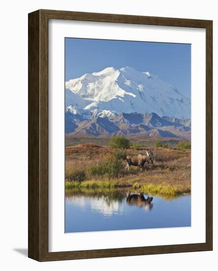 Mt. Mckinley, Denali National Park, Alaska, USA-Hugh Rose-Framed Photographic Print