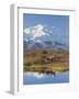 Mt. Mckinley, Denali National Park, Alaska, USA-Hugh Rose-Framed Photographic Print