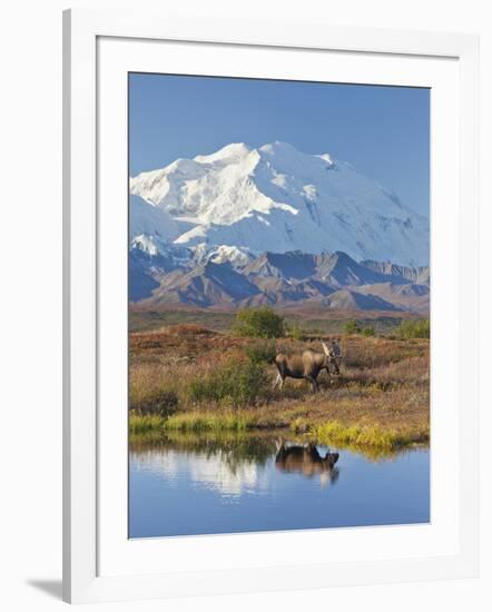 Mt. Mckinley, Denali National Park, Alaska, USA-Hugh Rose-Framed Photographic Print