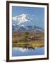 Mt. Mckinley, Denali National Park, Alaska, USA-Hugh Rose-Framed Photographic Print