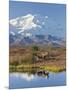 Mt. Mckinley, Denali National Park, Alaska, USA-Hugh Rose-Mounted Photographic Print