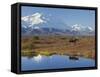 Mt. Mckinley, Denali National Park, Alaska, USA-Hugh Rose-Framed Stretched Canvas