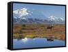 Mt. Mckinley, Denali National Park, Alaska, USA-Hugh Rose-Framed Stretched Canvas