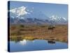 Mt. Mckinley, Denali National Park, Alaska, USA-Hugh Rose-Stretched Canvas