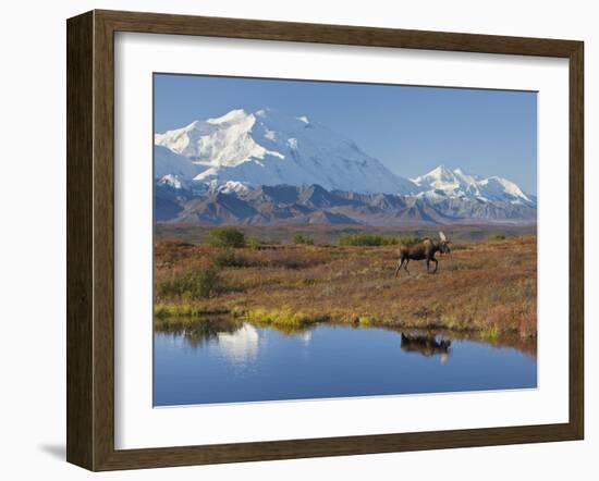 Mt. Mckinley, Denali National Park, Alaska, USA-Hugh Rose-Framed Premium Photographic Print