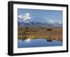 Mt. Mckinley, Denali National Park, Alaska, USA-Hugh Rose-Framed Premium Photographic Print