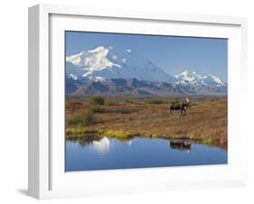 Mt. Mckinley, Denali National Park, Alaska, USA-Hugh Rose-Framed Premium Photographic Print