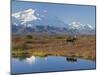 Mt. Mckinley, Denali National Park, Alaska, USA-Hugh Rose-Mounted Premium Photographic Print