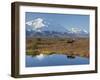 Mt. Mckinley, Denali National Park, Alaska, USA-Hugh Rose-Framed Photographic Print