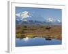 Mt. Mckinley, Denali National Park, Alaska, USA-Hugh Rose-Framed Photographic Print